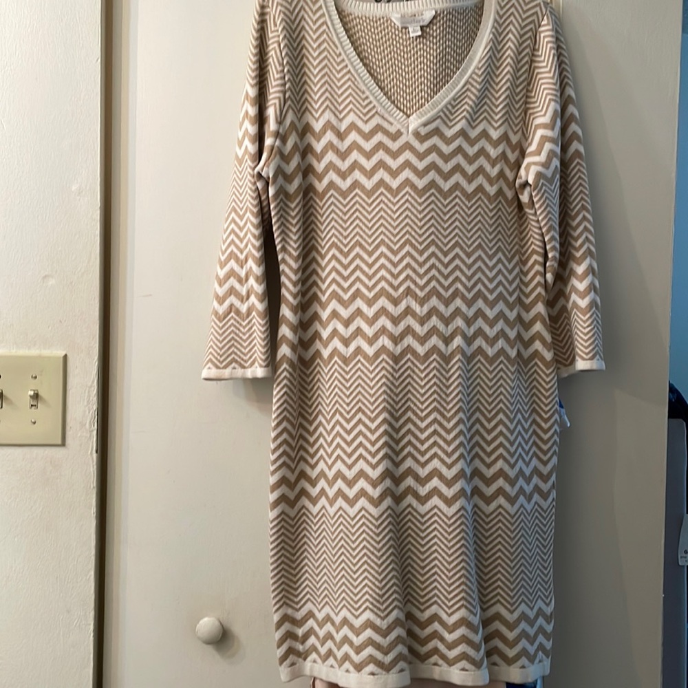 Women’s sweater dress